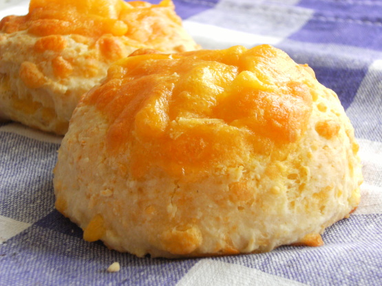 Sage-Derby-Cheese-Scones